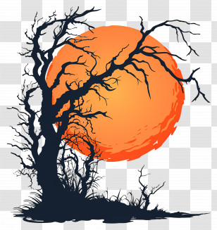 Halloween - Silhouette Of Tree At Sunset Transparent PNG