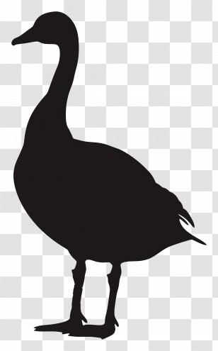 Goose Silhouette - Black Duck Silhouette Outline Transparent PNG