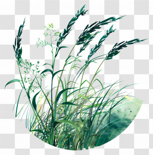 Grass - Artistic Greenery Grass Illustration Transparent PNG