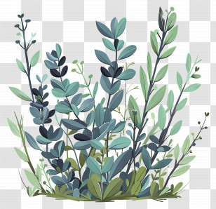 Bush Garden Plant - Botanical Art Illustration Of Green Foliage Transparent PNG