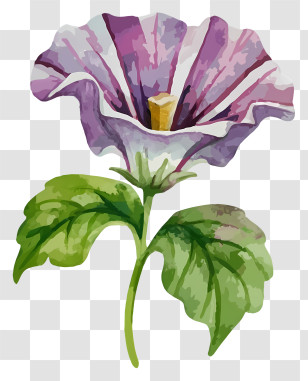 Watercolor Painting - Purple Flower With Green Leaves Transparent PNG