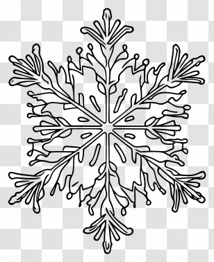 Snowflake Outline - Snowflake Outline With Symmetric Patterns Transparent PNG
