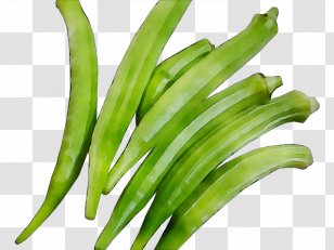 Green Bean Plant Stem Okra Commodity Scallion - Food Transparent PNG