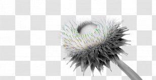 Dietary Supplement Vitamin Mineral Flower - Science Transparent PNG