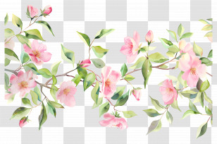 Tropical Flower Background - Spring Pink Flowers And Branches Illustration Transparent PNG