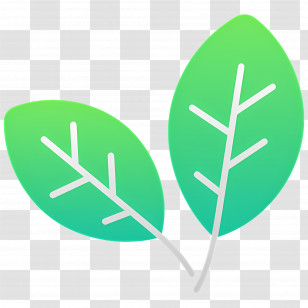 Basil - Green Leaves Icon For Nature Theme Transparent PNG