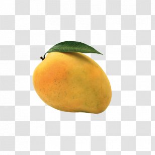 Mango Orange Food Citrus Juice Vesicles - Accessory Fruit Transparent PNG