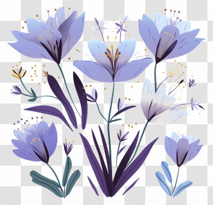 Crocus Flowers - Crocus Flower Illustration Transparent PNG