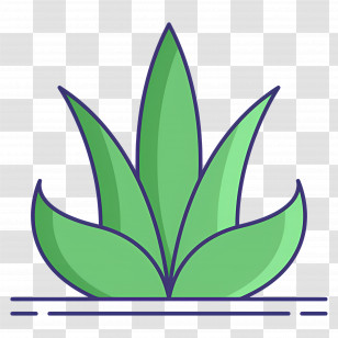 Aloe Vera - Green Aloe Plant Illustration Transparent PNG