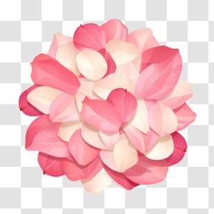 Rose Petals - Pink And White Flower Petals Transparent PNG