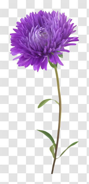 Cross - Purple Flower With Long Green Stem Transparent PNG