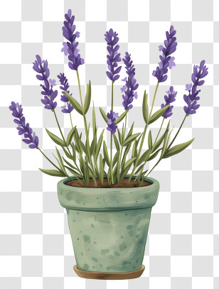 Lavender In Pot - Lavender Plant In A Rustic Pot Transparent PNG