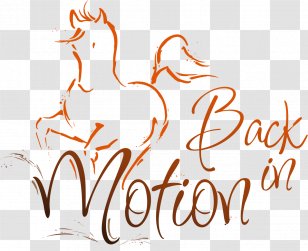 Horse Veterinarian NeumÃ¼nster Back In Motion - Pain - VeterinÃ¤rchiropraktik & Sattelanalyse Dr. Med. Vet. Silke Pohl ChiropracticHorse Transparent PNG