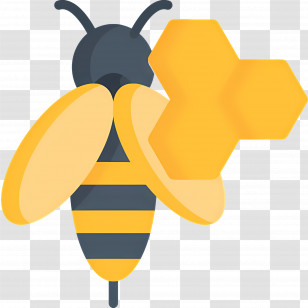 Honey Bee - Bee With Honeycomb Transparent PNG