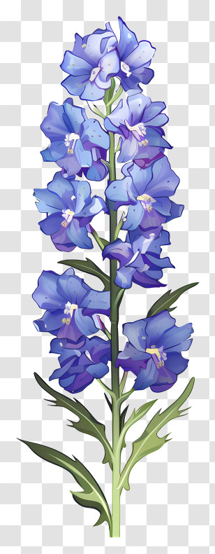 Cartoon Delphinium Flower - Blue Flower Botanical Illustration Transparent PNG