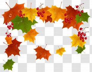 Autumn Clip Art - Illustration - Transparent Fall Decor Picture Transparent PNG
