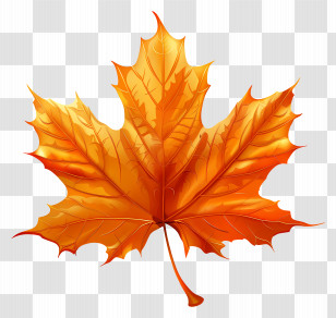 Maple Leaf - Orange Autumn Maple Leaf In Realistic Style Transparent PNG
