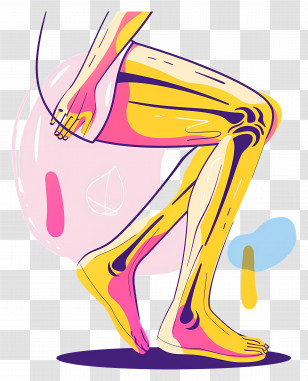 Knee Pain - Colorful Leg Anatomy Illustration Transparent PNG