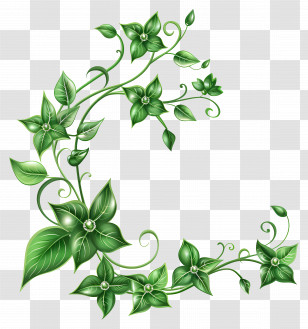 Green Flower - Green Vines With Leaves Transparent PNG