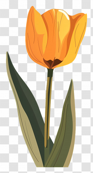 Yellow Tulip - Yellow Tulip Flower Illustration Transparent PNG