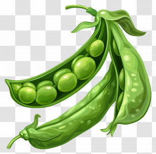 Sugar Snap Peas - Green Peas In Fresh Pods Illustration Transparent PNG