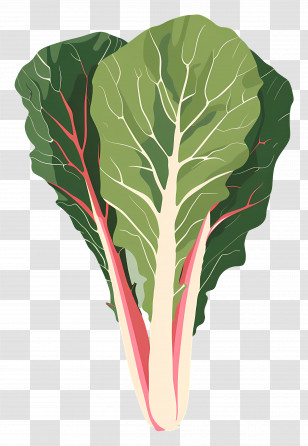 Chard - Chard Leaves With Red Stems Illustration Transparent PNG