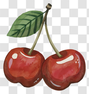 Red Cherries - Red Cherries With Green Leaf Transparent PNG