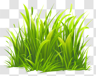 Grass - Lush Green Grass Patch Illustration Transparent PNG
