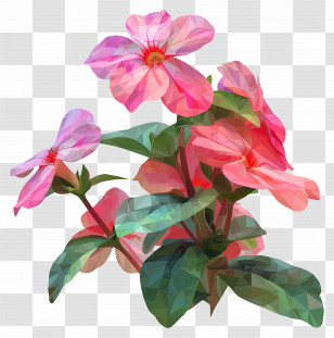 Digital Flower Art - Blooming Pink Flowers Transparent PNG