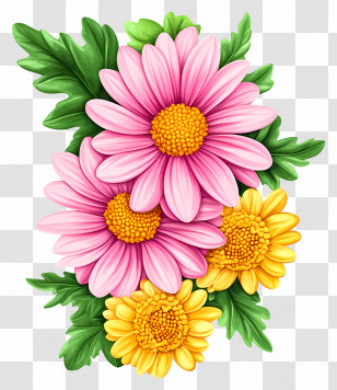 Daisy Flowers - Pink And Yellow Flower Bouquet Transparent PNG