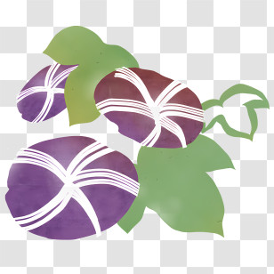 Icon - Purple Vegetables With Green Leaves Transparent PNG