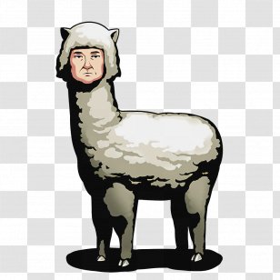 Steins;Gate Divine Gate Kurisu Makise Suzuha Amane Alpaca - Livestock Transparent PNG
