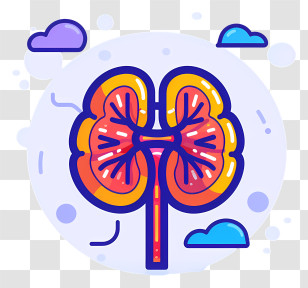 World Kidney Day - Kidney Cartoon Illustration With Clouds Transparent PNG