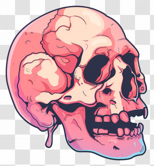 Skull - Artistic And Vibrant Human Skull Design Transparent PNG