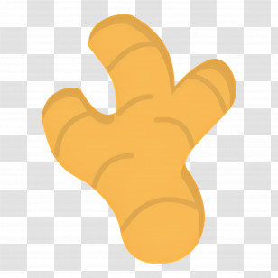 Turmeric - Ginger Root Illustration Transparent PNG