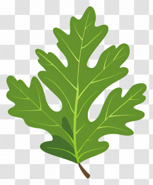 Oak Leaf - Bright Green Oak Leaf Design Transparent PNG