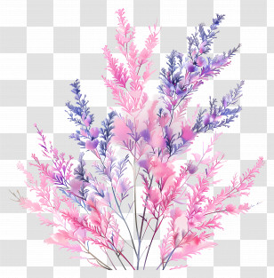 Kochia Plant - Pink And Purple Floral Bouquet Transparent PNG