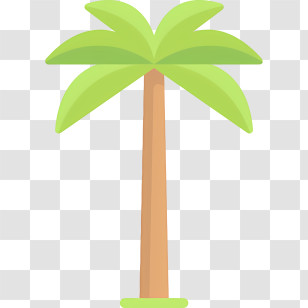 Palm Tree - Simple Cartoon Palm Tree Illustration Transparent PNG