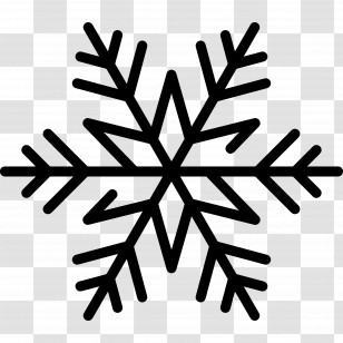 Snowflake - Black Snowflake Icon Transparent PNG