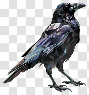 Crow - Polygonal Geometric Raven Illustration Transparent PNG