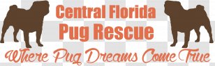 Puggle Your Pug Central Florida Snout - Dog Like Mammal - Vip Rescue Of Transparent PNG