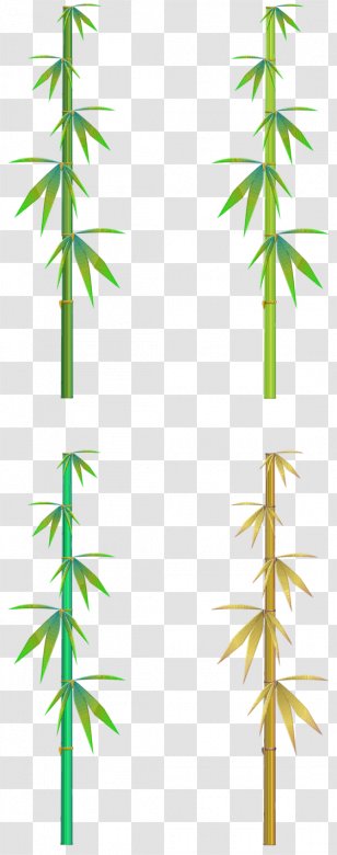 Bamboo Leaf Plants Clip Art - Hemp Family - Jean Poster Transparent PNG