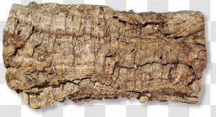 Terrarium Aquarium Cork JBL Bark - Jbl - Price Transparent PNG