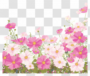Cosmos Flowers Border - Field Of Pink Flowers Transparent PNG