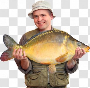 Fishing Rods Fisherman Angling Tackle - Man Transparent PNG