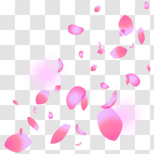 Sakura - Vibrant Pink Petals Scatter Transparent PNG