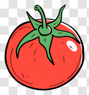Tomato - Vibrant Red Tomato Cartoon Drawing Transparent PNG