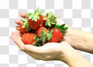 Strawberry Aedmaasikas Google Images - Hands Holding Picking Picture Material Transparent PNG