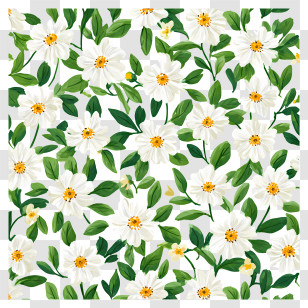 White Little Flowers - Beautiful White Floral Pattern Transparent PNG