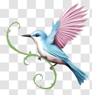 Bird - Blue Bird With Pink Wings On Branch Transparent PNG
